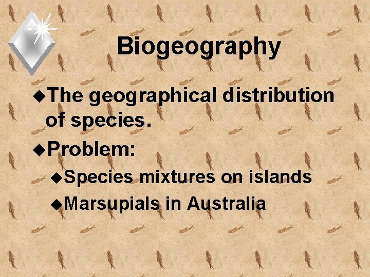 Biogeography u. The geographical distribution of species. u. Problem: u. Species mixtures on islands