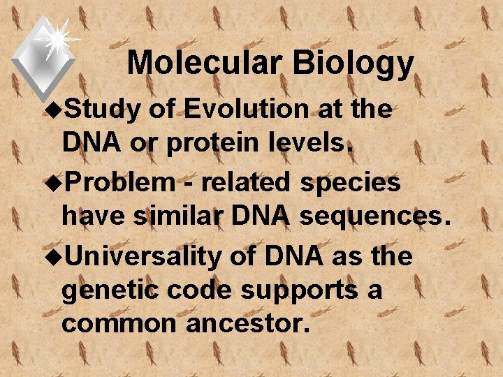 Molecular Biology u. Study of Evolution at the DNA or protein levels. u. Problem
