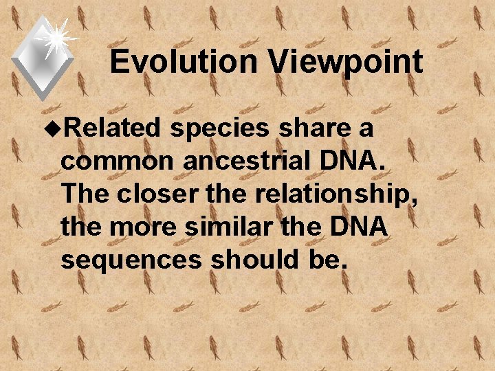 Evolution Viewpoint u. Related species share a common ancestrial DNA. The closer the relationship,