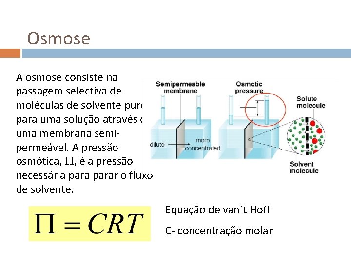 Osmose A osmose consiste na passagem selectiva de moléculas de solvente puro para uma