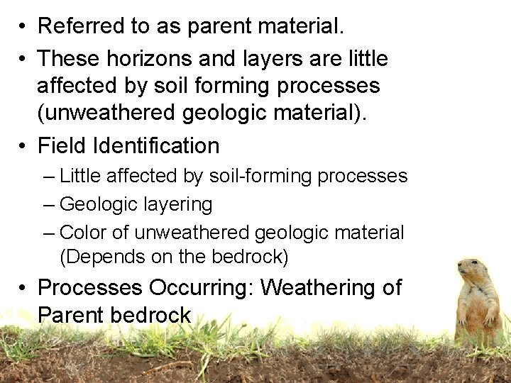  • Referred to as parent material. • These horizons and layers are little