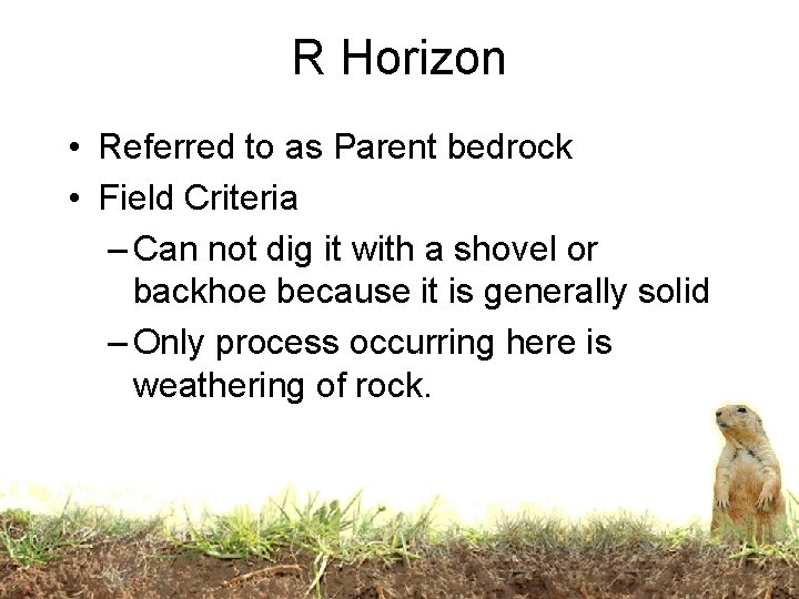 R Horizon • Referred to as Parent bedrock • Field Criteria – Can not
