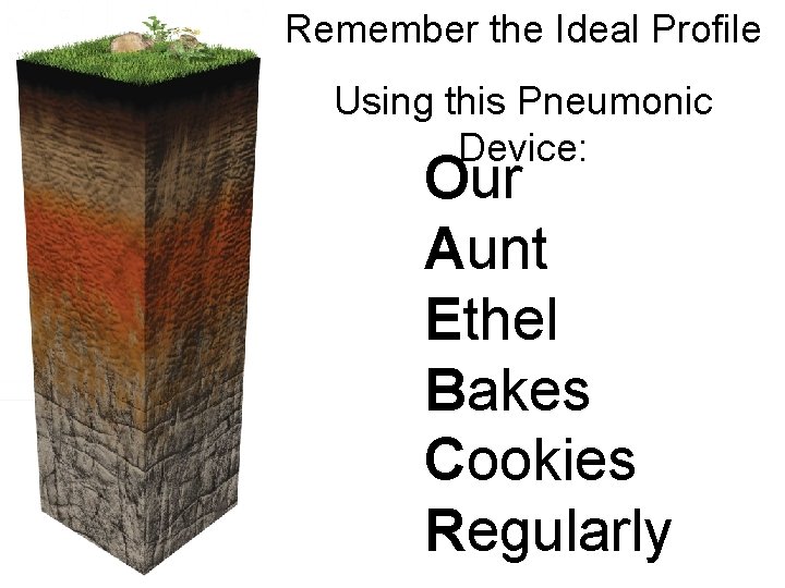 Remember the Ideal Profile Using this Pneumonic Device: Our Aunt Ethel Bakes Cookies Regularly
