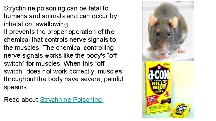Strychnine poisoning can be fatal to humans and animals and can occur by inhalation,