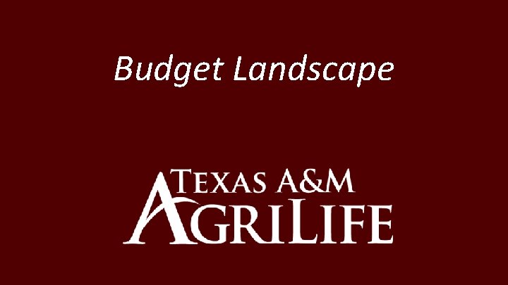 Budget Landscape 