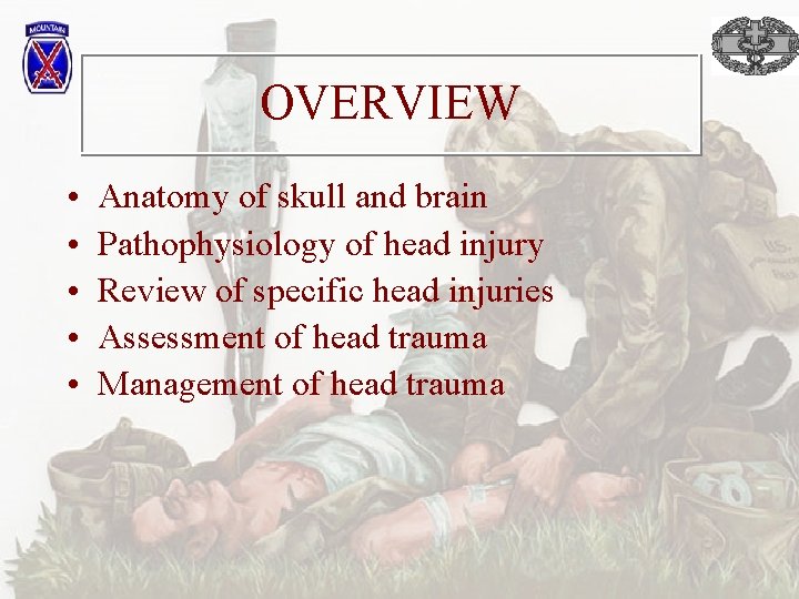 OVERVIEW • • • Anatomy of skull and brain Pathophysiology of head injury Review