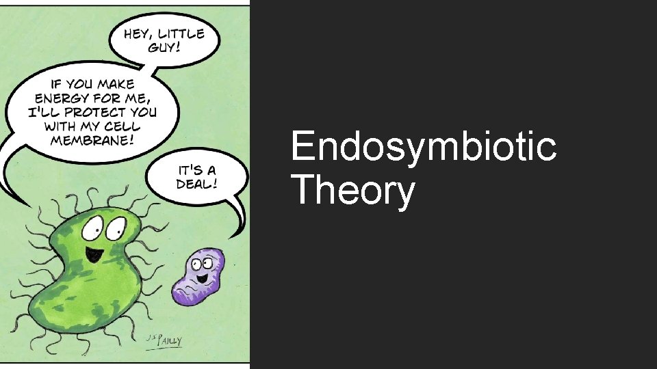 Endosymbiotic Theory 
