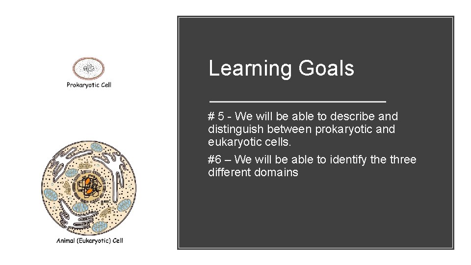 Learning Goals # 5 - We will be able to describe and distinguish between