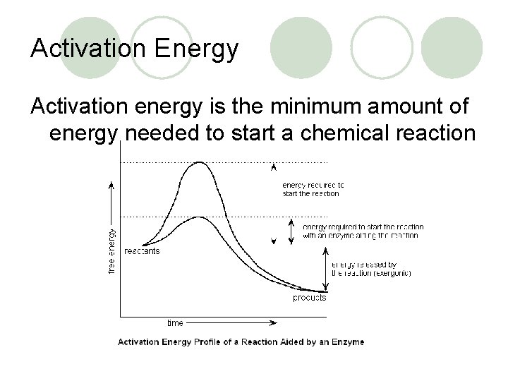 Chemical Reactions Energy and Enzymes Chemical Reactions l