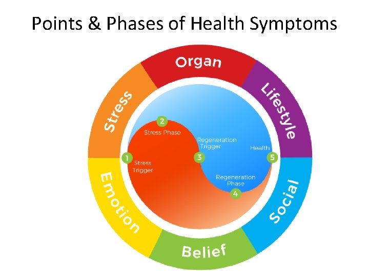 Points & Phases of Health Symptoms 