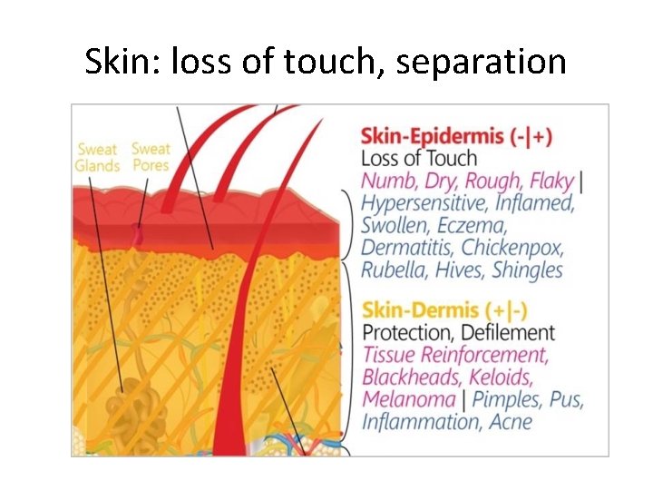 Skin: loss of touch, separation 