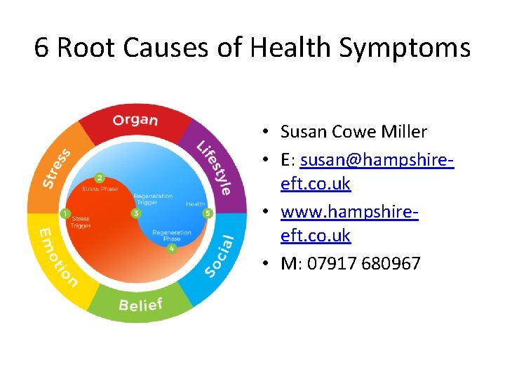6 Root Causes of Health Symptoms • Susan Cowe Miller • E: susan@hampshireeft. co.
