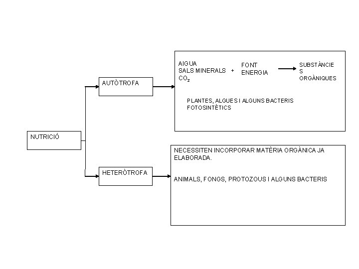 AUTÒTROFA AIGUA SALS MINERALS + CO 2 FONT ENERGIA SUBSTÀNCIE S ORGÀNIQUES PLANTES, ALGUES