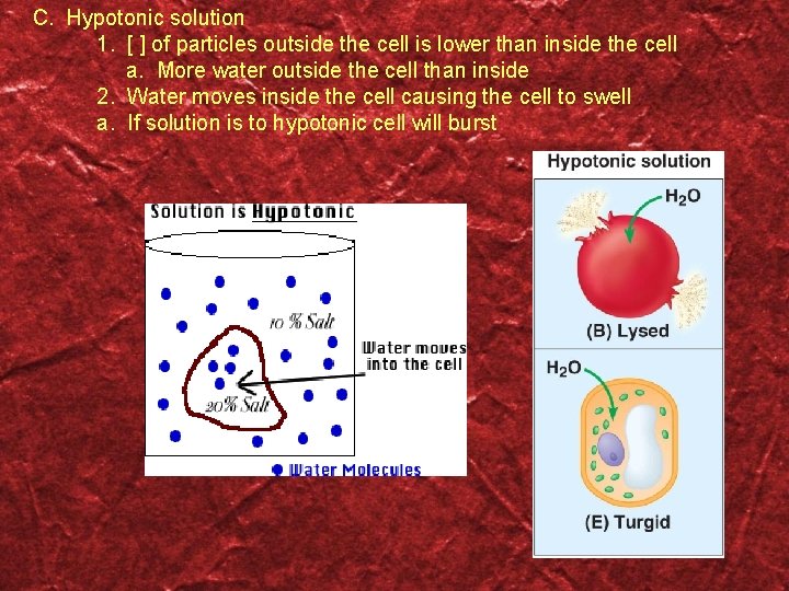 C. Hypotonic solution 1. [ ] of particles outside the cell is lower than