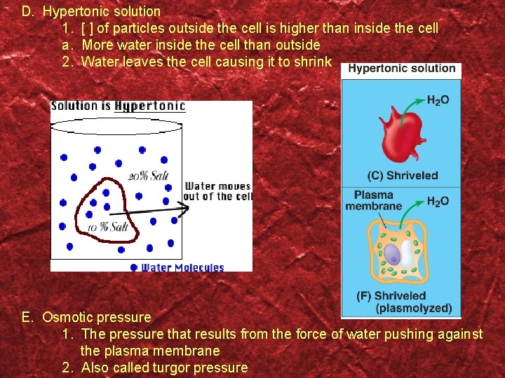 D. Hypertonic solution 1. [ ] of particles outside the cell is higher than