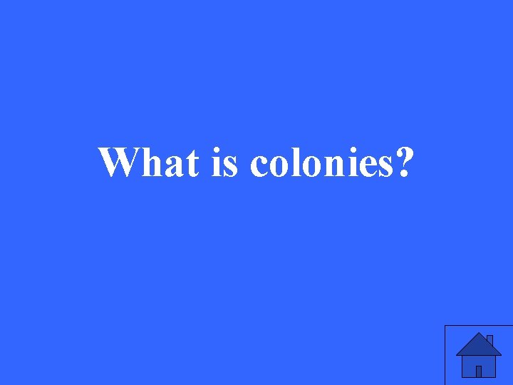 What is colonies? 