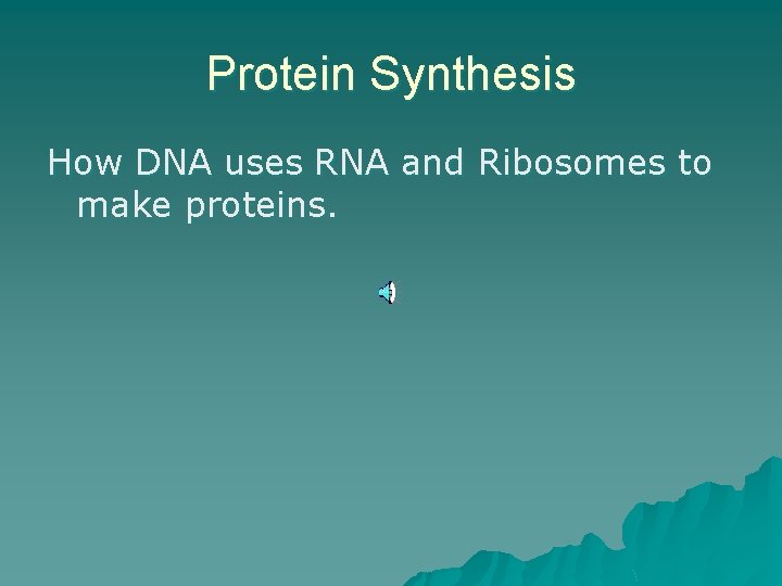 Protein Synthesis How DNA uses RNA and Ribosomes to make proteins. 