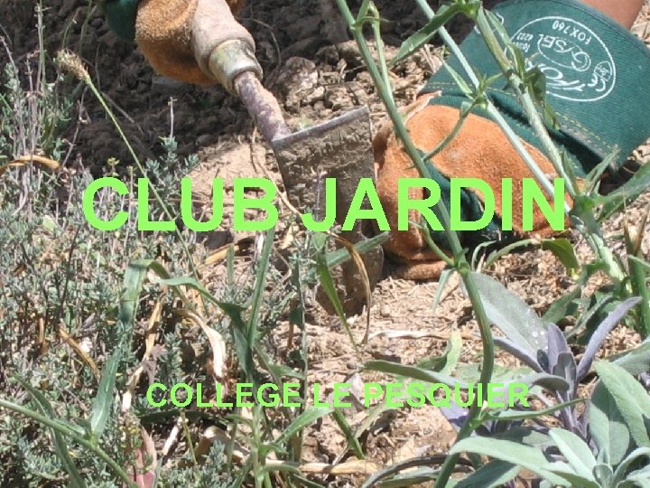 CLUB JARDIN COLLEGE LE PESQUIER 
