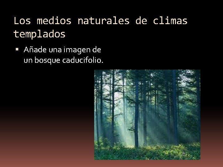 Los medios naturales de climas templados Añade una imagen de un bosque caducifolio. 