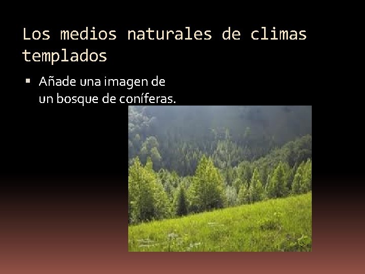 Los medios naturales de climas templados Añade una imagen de un bosque de coníferas.