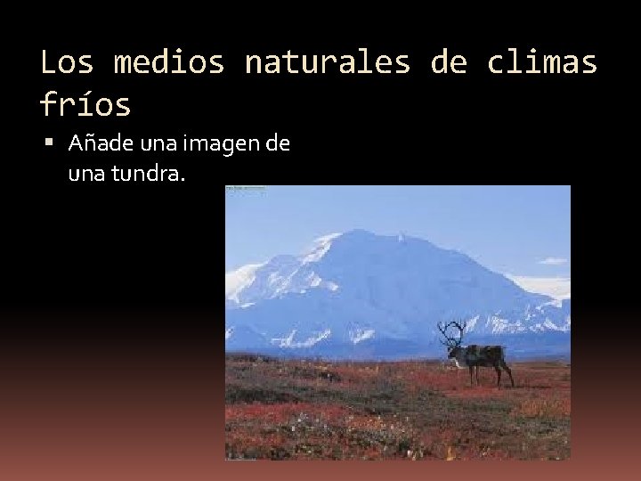 Los medios naturales de climas fríos Añade una imagen de una tundra. 
