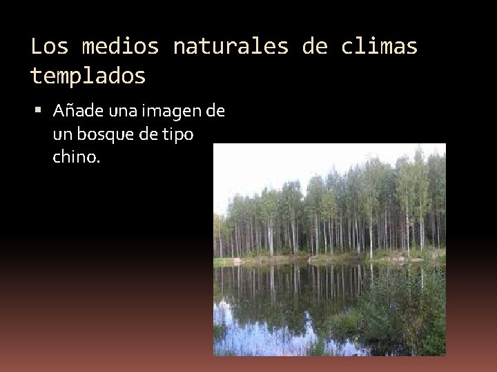 Los medios naturales de climas templados Añade una imagen de un bosque de tipo