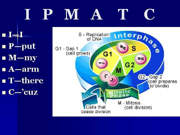 I P M A I—I n P—put n M—my n A—arm n T—there n