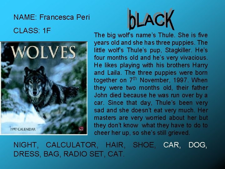 NAME: Francesca Peri CLASS: 1 F The big wolf’s name’s Thule. She is five