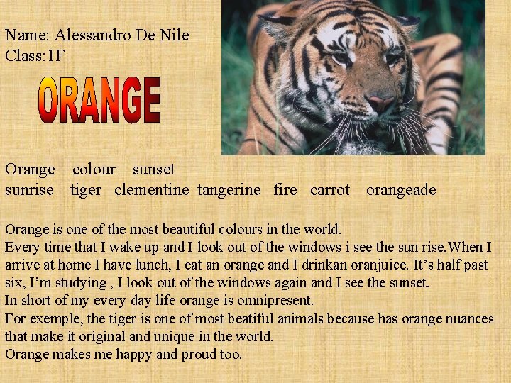 Name: Alessandro De Nile Class: 1 F Orange colour sunset sunrise tiger clementine tangerine