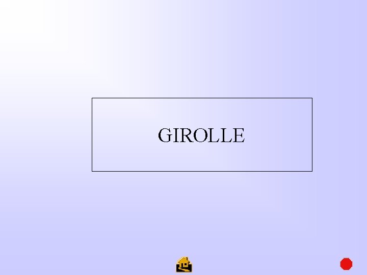 GIROLLE 