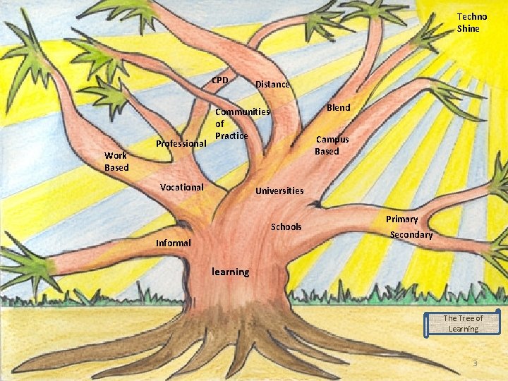 Techno Shine CPD Work Based Professional Distance Blend Communities of Practice Vocational Campus Based