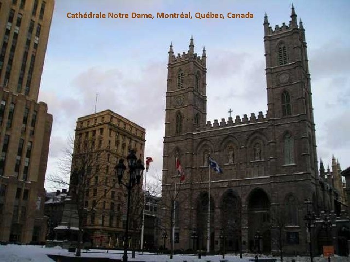 Cathédrale Notre Dame, Montréal, Québec, Canada 