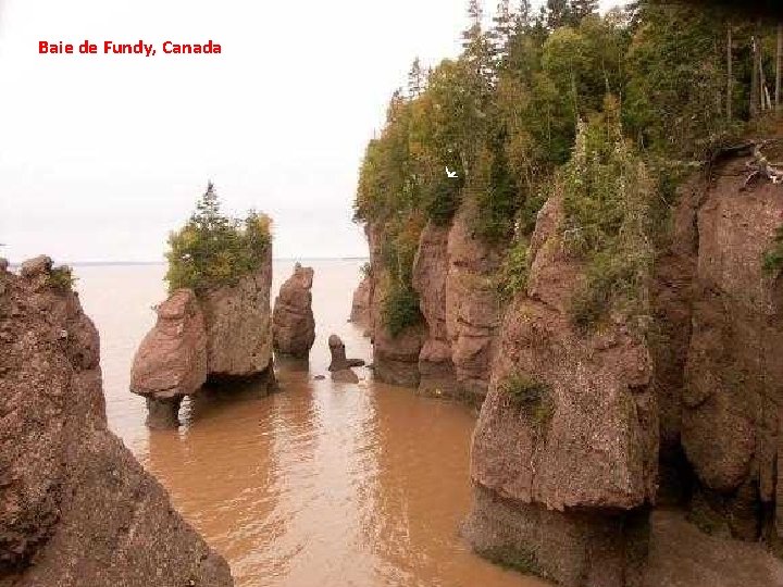 Baie de Fundy, Canada 