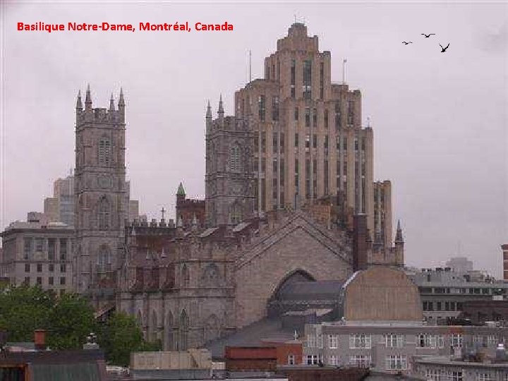 Basilique Notre-Dame, Montréal, Canada 
