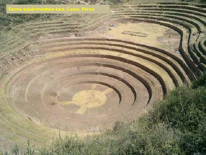 Ferme expérimentale Inca, Cusco, Pérou 