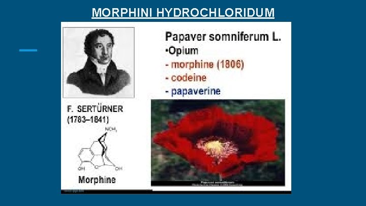 MORPHINI HYDROCHLORIDUM MORPHINI HYDROCHLORIDUM