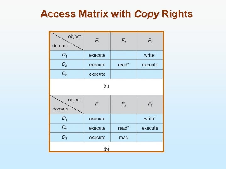 Access Matrix with Copy Rights 