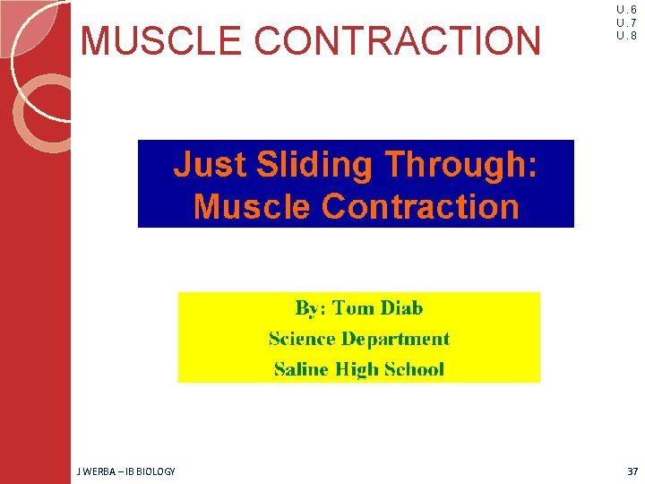 MUSCLE CONTRACTION J WERBA – IB BIOLOGY U. 6 U. 7 U. 8 37