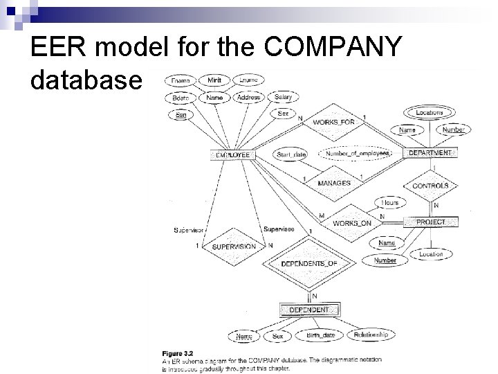 EER model for the COMPANY database 
