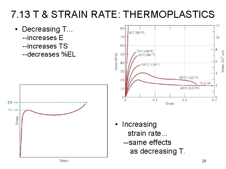 7. 13 T & STRAIN RATE: THERMOPLASTICS • Decreasing T. . . --increases E