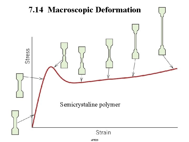 7. 14 Macroscopic Deformation Semicrystaline polymer c 07 f 25 