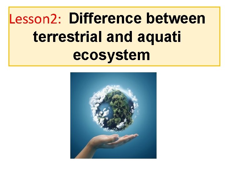 Lesson 2: Difference between terrestrial and aquati ecosystem 
