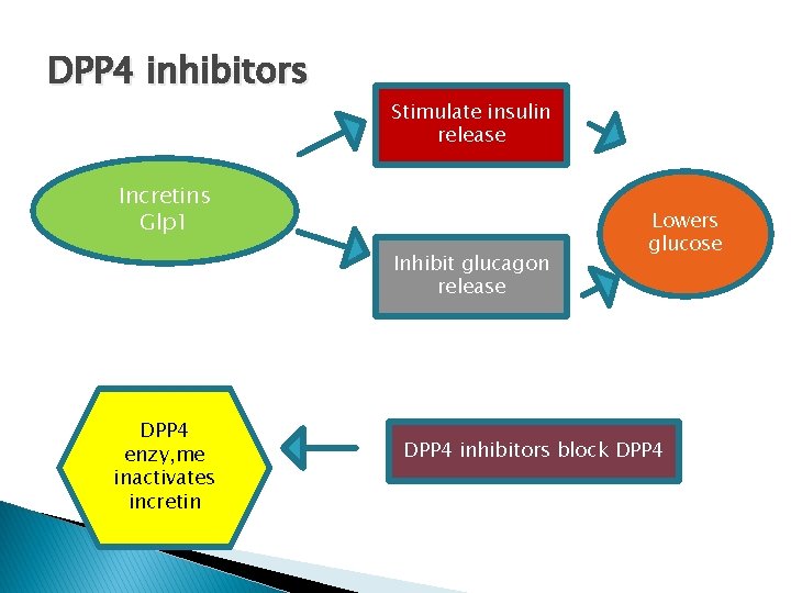 DPP 4 inhibitors Stimulate insulin release Incretins Glp 1 Inhibit glucagon release DPP 4
