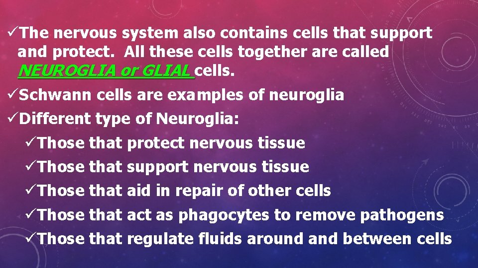 üThe nervous system also contains cells that support and protect. All these cells together