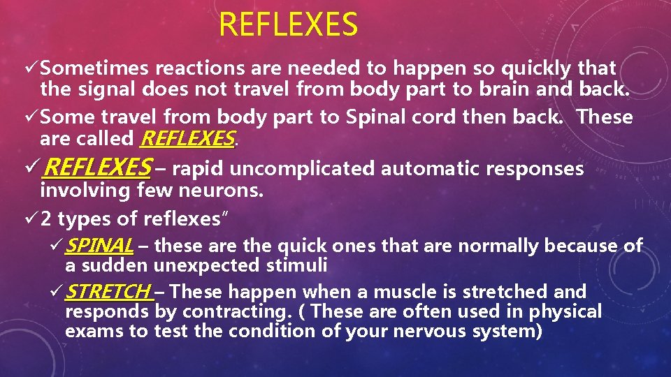 REFLEXES üSometimes reactions are needed to happen so quickly that the signal does not