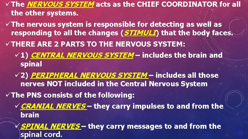 üThe NERVOUS SYSTEM acts as the CHIEF COORDINATOR for all the other systems. üThe