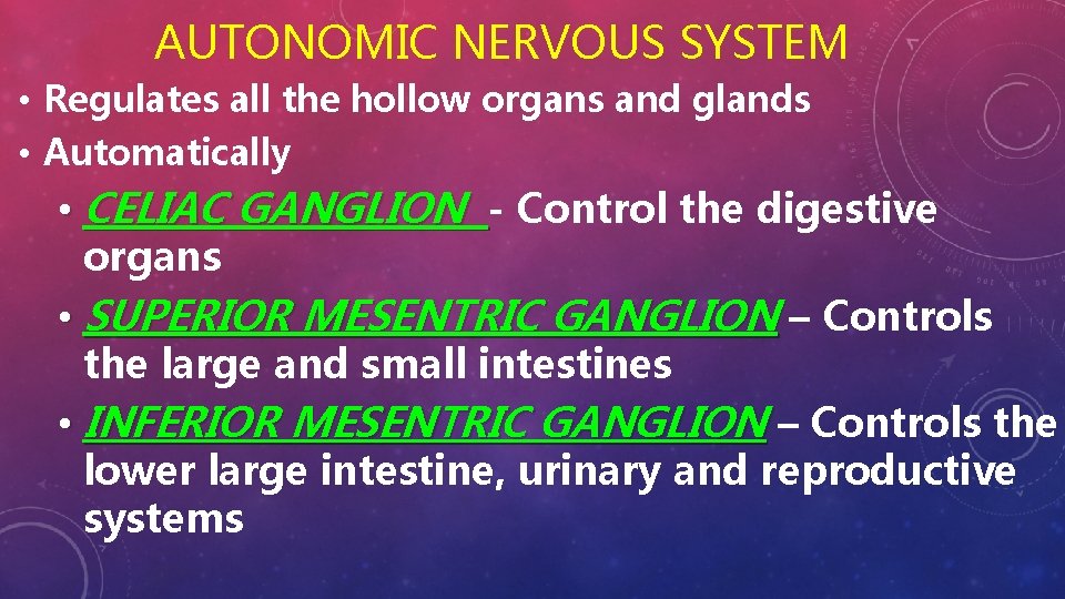 AUTONOMIC NERVOUS SYSTEM • Regulates all the hollow organs and glands • Automatically •