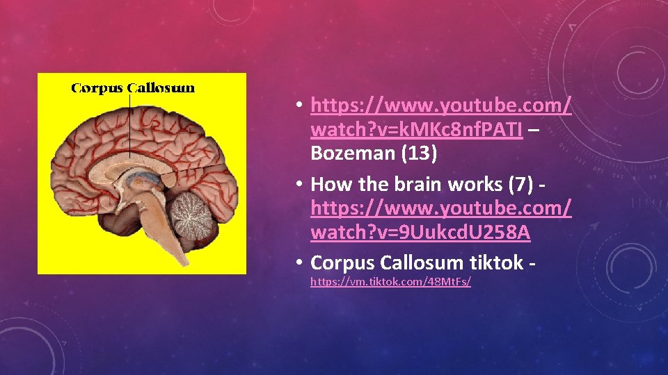  • https: //www. youtube. com/ watch? v=k. MKc 8 nf. PATI – Bozeman