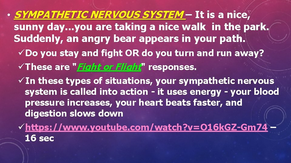  • SYMPATHETIC NERVOUS SYSTEM – It is a nice, sunny day. . .