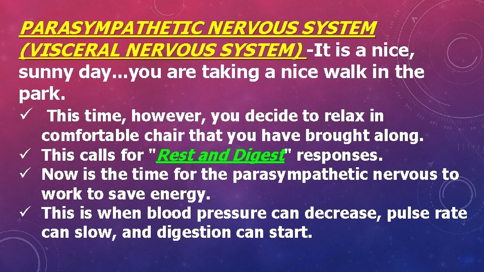 PARASYMPATHETIC NERVOUS SYSTEM (VISCERAL NERVOUS SYSTEM) -It is a nice, sunny day. . .